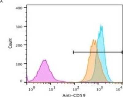 Flow Cytometry: CD59 Antibody (MEM-43/5) [Allophycocyanin] [NB500-400APC] - The PIGAc.1234C>T mutation increases PIGA function compared to PIGAnull hiPSCs.(A). Representative example of FACS analysis CD59 expression in the three hiPSC lines. Overlay histogram shows that CD59 expression was significantly higher in PIGAc.1234 C>T hiPSCs compared to PIGAnull hiPSCs. MFI was 445.4 in PIGAwt hiPSCs and 332.6 in PIGAc.1234C>T hiPSCs (p>0.05, NS). However, MFI in PIGAc.1234C>T hiPSCs was significantly higher than 17.9 in PIGAnull hiPSCs (*pT hiPSCs. PIGAnull hiPSCs (purple), PIGAc.1234C>T hiPSCs (orange) and PIGAwt hiPSCs (blue). Image collected and cropped by CiteAb from the following publication (//dx.plos.org/10.1371/journal.pone.0174074), licensed under a CC-BY license.