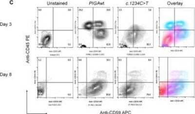 Flow Cytometry: CD59 Antibody (MEM-43/5) [Allophycocyanin] [NB500-400APC] - The PIGAc.1234C>T mutation does not impair terminal hematopoietic differentiation during mesoderm induction. Representative example of FACS analysis of hematopoietic phenotypes in the EB-BLCs from PIGAwt and PIGAc.1234C>T. The zebra plot shows expression of CD59 (X-axis) and CD45 (Y-axis) after three and eight days of hematopoietic differentiation. Unstained PIGAwt cells were used as a control. Abbreviations: CFU-Macrophage (M); CFU-Granulocyte-Macrophage (GM); committed erythroid BFU-E (BFU) and CFU-E (CFU) progenitors; multipotent progenitor cells CFU-GEMM (GEMM). Image collected and cropped by CiteAb from the following publication (//dx.plos.org/10.1371/journal.pone.0174074), licensed under a CC-BY license.