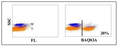Flow Cytometry: CD6 Antibody (BAQ83A) [NBP2-60935] - Obtained with bovine leukocytes