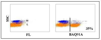 Flow Cytometry: CD6 Antibody (BAQ91A) [NBP2-60933] - Obtained with bovine leukocytes