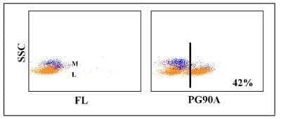 Flow Cytometry: CD6 Antibody (PG90A) [NBP2-60936] - Obtained with pig leukocytes