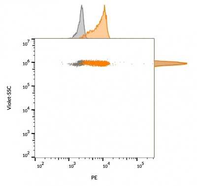 Flow Cytometry: CD63 Antibody (LAMP3/968) - Azide and BSA Free [NBP2-47936] - Flow cytometry of bead-bound exosomes derived from MCF-7 cells. Unstained exosomes (gray) or stained with CF555-labeled CD63 monoclonal antibody (LAMP3/968) (orange)