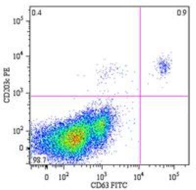 Flow Cytometry: CD63 Antibody (MEM-259) [FITC] [NB500-483] - Analysis of peripheral blood lymphocytes from a patient with allergy to bee venom after stimulation with bee venom, stained with anti-human CD63 (MEM-259) FITC.