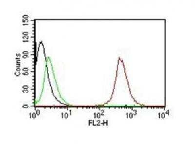 Flow Cytometry: CD63 Antibody (NKI/C3) - Azide and BSA Free [NBP2-34694] - Flow Cytometry of human CD63 on MCF-7 cells Black: cells alone; Green: Isotype control; Red: PE-labeled CD63 Monoclonal Antibody (NKI/C3)