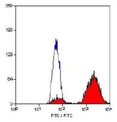 Flow Cytometry: CD68/SR-D1 Antibody (FA-11) - Azide and BSA Free [NBP2-80656] - Staining of permeabilised Mouse peritoneal Macrophages cells with Rat anti Mouse CD68 Antibody (Clone FA-11) visualised with F(ab')2 Goat Anti Rat IgG:FITC (Mouse Adsorbed). Image from the standard format of this antibody.