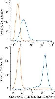 Flow Cytometry: CD68/SR-D1 Antibody (KP1 + C68/684) [PE] [NBP2-34662PE] - A cell surface (top) and intracellular stain (bottom) was performed on U87 MG cells with CD68 antibody NBP2-34662PE along with a matched isotype control NBP2-27287PE. The cell surface stain was performed in an antibody dilution of 1 ug/mL and incubated at RT for 20 minutes. Prior to intracellular staining, the cells were fixed with 4% PFA and then permeablized with 0.1 % saponin. The cells were then incubated in an antibody dilution of 1 ug/mL at RT for 30 minutes.