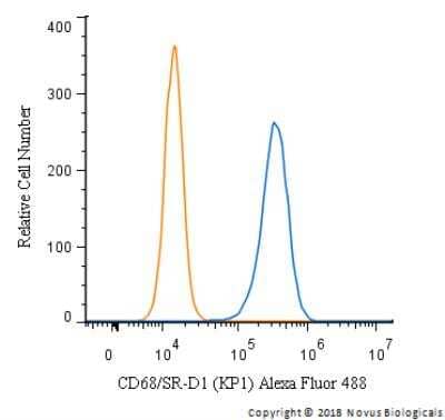 Flow Cytometry: CD68/SR-D1 Antibody (KP1) - Azide and BSA Free [NBP2-34661] - An intracellular stain was performed on SK-MEL-28 cells with CD68/SR-D1 Antibody (KP1) NBP2-34661AF488 (blue) and a matched isotype control (orange). Cells were fixed with 4% PFA and then permeabilized with 0.1% saponin. Cells were incubated in an antibody dilution of 5 ug/mL for 30 minutes at room temperature. Both antibodies were conjugated to Alexa Fluor AF488.