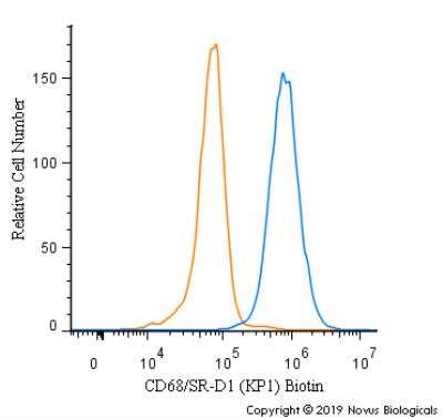 Flow Cytometry: CD68/SR-D1 Antibody (KP1) - Azide and BSA Free [NBP2-34661] - An intracellular stain was performed on SK-MEL-28 cells with CD68/SR-D1 Antibody [KP1] NBP2-34661B (blue) and a matched isotype control (orange). Both antibodies were conjugated to Biotin. Cells were fixed with 4% PFA and then permeabilized with 0.1% saponin. Cells were incubated in an antibody dilution of 2.5 ug/mL for 30 minutes at room temperature, followed by Streptavidin - R-Phycoerythrin Protein (2012-1000, Novus Biologicals).