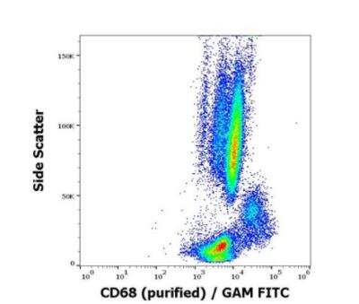 Flow Cytometry: CD68/SR-D1 Antibody (Y1/82A) [NBP3-09124] -  Intracellular staining pattern of human peripheral blood stained using anti-human CD68 (Y1/82A) purified antibody (concentration in sample 2 ug/ml) GAM FITC. 