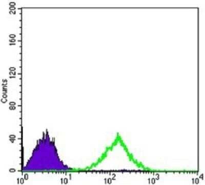 Flow Cytometry: CD69 Antibody (8B6) [NBP1-51607] - Analysis of Jurkat cells using CD69 mouse mAb (green) and negative control (purple).