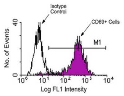 Flow Cytometry: CD69 Antibody (H1.2F3) [FITC] [NBP1-28012] - less than or equal to to 1 ug/10^6 Fresh BALB/c spleen cells were activated by incubation for 20 hours with PMA + ionomycin, then stained with either hamster IgG-FITC (as an isotype control) or hamster anti-mouse CD69-FITC. Large, activated cells were then gated and analyzed on a flow cytometer