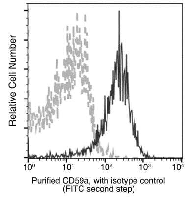 Flow Cytometry: CD72 Antibody (108) [NBP3-06096] - Flow cytometric analysis of Mouse CD59a expression on BABLc bone marrow erythroid cells. Cells were stained with purified anti-Mouse CD59a, then a FITC-conjugated second step antibody. The fluorescence histograms were derived from gated events with the forward and side light-scatter characteristics of erythroid cells.