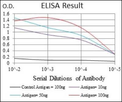 ELISA: CD74 Antibody (2D1B11) [NBP2-37342] - Red: Control Antigen (100ng); Purple: Antigen (10ng); Green: Antigen (50ng); Blue: Antigen (100ng);