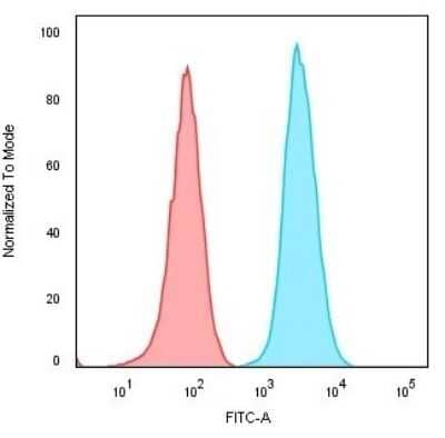 Flow Cytometry: CD74 Antibody (CLIP/3127R) - Azide and BSA Free [NBP3-08927] - Flow Cytometric Analysis of Raji cells.CD74 Recombinant Rabbit Monoclonal Antibody (CLIP/3127R) followed by goat anti- Mouse IgG-CF488 (Blue). Isotype Control (Red).