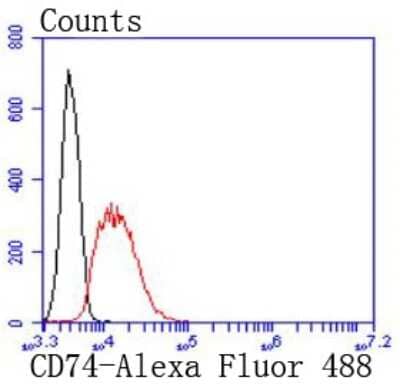 Flow Cytometry: CD74 Antibody (JF40-10) [NBP2-66762] - Analysis of Jurkat cells with CD74 antibody at 1/50 dilution (red) compared with an unlabelled control (cells without incubation with primary antibody; black). Alexa Fluor 488-conjugated goat anti rabbit IgG was used as the secondary antibody.