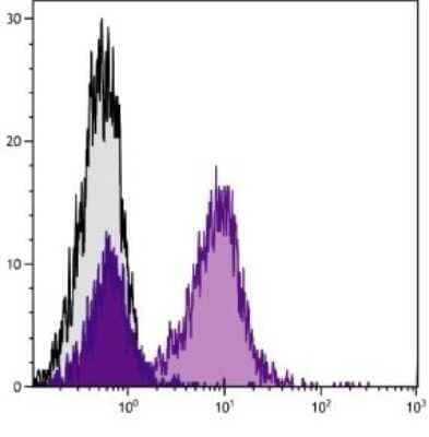 Flow Cytometry: CD79B Antibody (HM79-12) [PE] [NBP1-28143] - Analysis of C57BL/6 splenocytes.