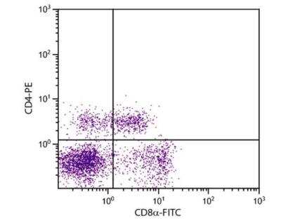 Flow Cytometry: CD8 Antibody (76-2-11) [FITC] [NBP1-28238] - Porcine peripheral blood lymphocytes were stained with Mouse Anti-Porcine CD8 alpha-FITC and Mouse Anti-Porcine CD4-PE.