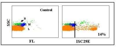 Flow Cytometry: CD8 Antibody (ISC29E) [NBP2-60946] - Obtained with rabbit leukocytes