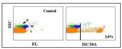 Flow Cytometry: CD8 Antibody (ISC38A) [NBP2-60947] - Obtained with rabbit leukocytes