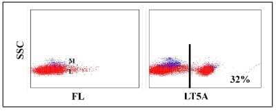 Flow Cytometry: CD8 Antibody (LT5A) [NBP2-60944] - Obtained with llama leukocytes