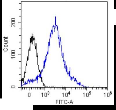 Flow Cytometry: CD8 beta Antibody (YTS 156.7.7) [NBP2-62563] - Mouse thymocytes were stained with unimmunized rabbit IgG antibody (black line) or the rabbit-chimeric version of YTS 156.7.7 (NBP2-62563, blue line) at a concentration of 10 ug/ml for 30 mins at RT. After washing, bound antibody was detected using an anti-rabbit IgG JK (FITC-conjugate) antibody at 2 ug/ml and cells analyzed on a FACSCanto flow-cytometer.