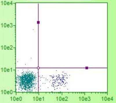 Flow Cytometry: CD8 alpha Antibody (CT-8) [FITC] [NBP1-28271] - Analysis of avian blood lymphocytes- image courtesy of customer. 