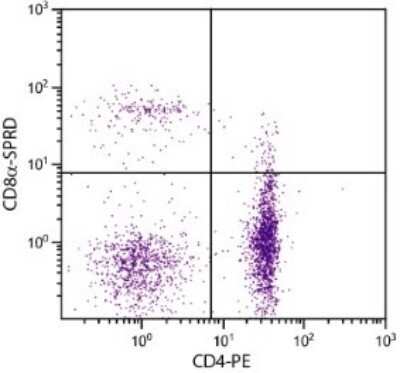 Flow Cytometry: CD8 alpha Antibody (CT-8) [NBP1-28270] - Analysis using the FITC conjugate of NBP1-28270. Multiple staining of peripheral blood mononuclear cells.