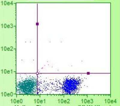 Flow Cytometry: CD8 alpha Antibody (CT-8) [NBP1-28270] - Avian Thymocytes image courtesy of customer.