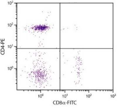 Flow Cytometry: CD8 Antibody (EP72) [FITC] [NBP1-28336] - CD8 alpha Antibody (EP72) [FITC] [NBP1-28336] - Analysis of chicken peripheral blood lymphocytes by multiple staining.