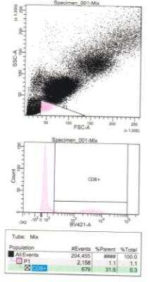 Flow Cytometry: CD8 alpha Antibody (fCD8) [Alexa Fluor® 405] [NBP1-28254AF405] - T-cell detection in feline whole blood. Image from verified customer review.