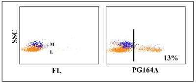 Flow Cytometry: CD8 beta Antibody (PG164A) [NBP2-60955] - Obtained with pig leukocytes