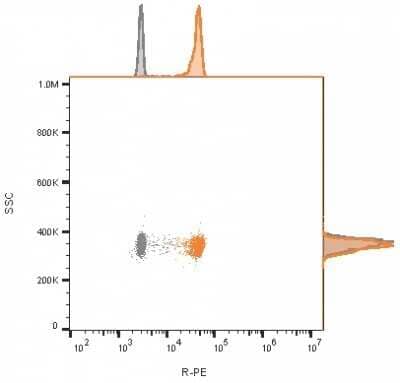 Flow Cytometry: CD81 Antibody (1.3.3.22) - Azide and BSA Free [NBP2-54548] - Flow cytometry analysis of bead-bound exosomes derived from MCF-7 cells. Unstained exosomes (gray) or exosomes stained with CF568-labeled CD81 monoclonal antibody (1.3.3.22) (orange).