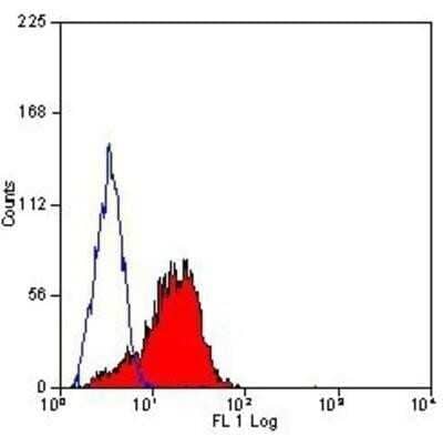 Flow Cytometry: CD81 Antibody (1D6) - Azide and BSA Free [NBP2-80660] - Analysis using the FITC conjugate of NB100-65805. Staining of human peripheral blood lymphocytes.