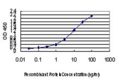 Sandwich ELISA: CD81 Antibody (2B7) [H00000975-M01] - Detection limit for recombinant GST tagged CD81 is approximately 0.1ng/ml as a capture antibody.