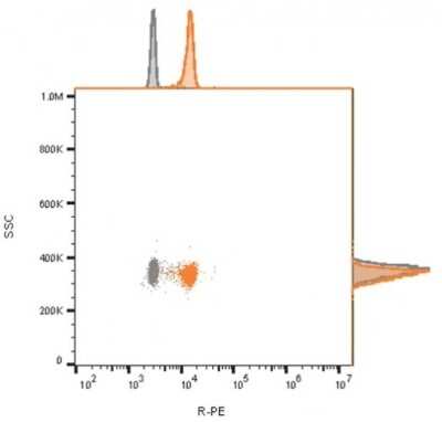 Flow Cytometry: CD81 Antibody (C81/2885R) - Azide and BSA Free [NBP3-08796] - Flow cytometry analysis of bead-bound exosomes derived from MCF-7 cells. Unstained exosomes (gray) or exosomes stained with CF568-labeled CD81 antibody (C81/2885R) (orange).