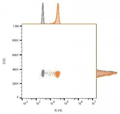 Flow Cytometry: CD81 Antibody (rC81/3442) - Azide and BSA Free [NBP3-08795] - Flow cytometry analysis of bead-bound exosomes derived from MCF-7 cells. Unstained exosomes (gray) or exosomes stained with CF568-labeled CD81 antibody (rC81/3442) (orange).