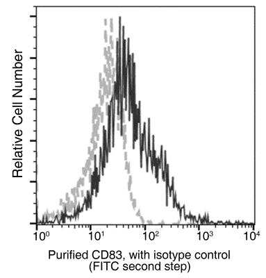 Flow Cytometry: CD83 Antibody (101) [NBP3-12771] - Flow cytometric analysis of Mouse CD83 expression on LPS-stimulated BABL/c splenocytes. Cells were stained with purified anti-Mouse CD83 , then a FITC-conjugated second step antibody. The fluorescence histograms were derived from gated events with the forward and side light-scatter characteristics of intact cells.