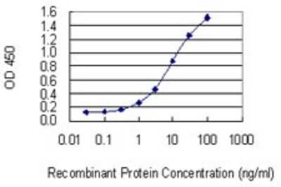 Sandwich ELISA: CD84/SLAMF5 Antibody (3G10) [H00008832-M01] - Detection limit for recombinant GST tagged CD84 is 0.1 ng/ml as a capture antibody.