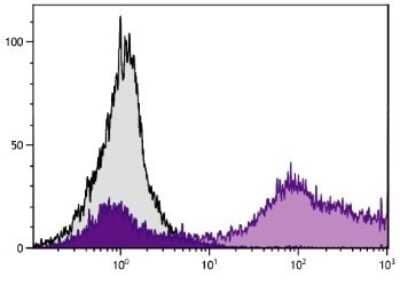 Flow Cytometry: CD9 Antibody (MM2/57) [FITC] [NBP1-28364] - Analysis of peripheral blood lymphocytes.