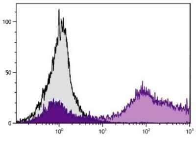 Flow Cytometry: CD9 Antibody (MM2/57) [PE] [NBP1-28365] - Analysis of peripheral blood.