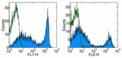 Flow Cytometry: CD90.2 Antibody (53-2.1) [NBP1-43380] - Analysis using the FITC conjugate of NBP1-43380. Staining of mouse splenocytes with Anti-Mouse CD90.2 (Thy-1.2) FITC (left ) or PE (right). Appropriate isotype controls were used (open histogram). Total viable cells were used for analysis.