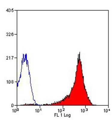 Flow Cytometry: CD90/Thy1 Antibody (F7D5) [NB100-64330] Staining of mouse thymus cells.