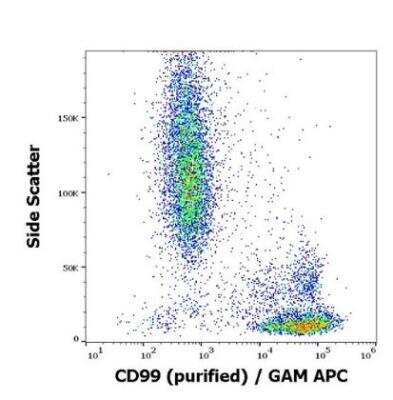 Flow Cytometry: CD99 Antibody (3B2/TA8) [NBP3-09116] -  Surface staining pattern of human peripheral blood stained using anti-human CD99 (3B2/TA8) purified antibody (concentration in sample 2 ug/ml) GAM APC. 