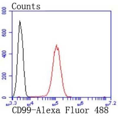 Flow Cytometry: CD99 Antibody (JF0991) [NBP2-67019] - Analysis of Jurkat cells with CD99 antibody at 1/50 dilution (red) compared with an unlabelled control (cells without incubation with primary antibody; black). Alexa Fluor 488-conjugated goat anti rabbit IgG was used as the secondary antibody.