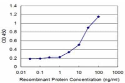 Sandwich ELISA: CDC123 Antibody (1A1) [H00008872-M03] - Detection limit for recombinant GST tagged C10orf7 is approximately 3ng/ml as a capture antibody.