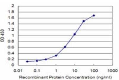 ELISA: CDC42BPB Antibody (2D8) [H00009578-M04] - Detection limit for recombinant GST tagged CDC42BPB is approximately 0.3ng/ml as a capture antibody.