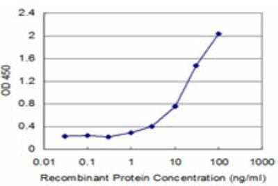 ELISA: CDC5L Antibody (3C12) [H00000988-M08] - Detection limit for recombinant GST tagged CDC5L is approximately 1ng/ml as a capture antibody.