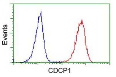 Flow Cytometry: CDCP1 Antibody (OTI2C1) - Azide and BSA Free [NBP2-72156] - Analysis of Jurkat cells, using anti-CDCP1 antibody, (Red), compared to a nonspecific negative control antibody (Blue).