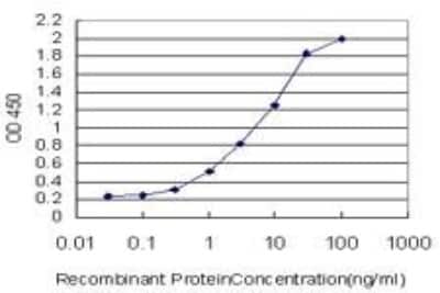 ELISA: CDK2 Antibody (2E8) [H00001017-M02] - CDK2 Antibody (2E8) [H00001017-M02] - Detection limit for recombinant GST tagged CDK2 is approximately 0.03ng/ml as a capture antibody.