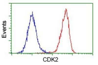 Flow Cytometry: CDK2 Antibody (OTI2D9) - Azide and BSA Free [NBP2-70392] - Analysis of Hela cells, using anti-Cdk2 antibody, (Red), compared to a nonspecific negative control antibody (Blue).